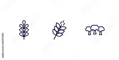 set of nature thin line icons. nature outline icons included pecan leaf, grains, woods vector.