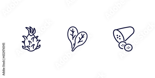 set of vegetables and fruits thin line icons. vegetables and fruits outline icons included pitaya, spinach, cucumber vector.