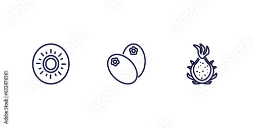 set of vegetables and fruits thin line icons. vegetables and fruits outline icons included kiwi, breast milk fruit, dragon fruit vector.