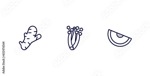 set of vegetables and fruits thin line icons. vegetables and fruits outline icons included ginger, celery, melon vector.