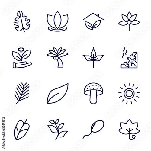 set of nature thin line icons. nature outline icons such as leaf monstera, indoor, treatments, pinnation, pine needle, philodendron, willow leaf, fertilize clinic, grape leaf vector.