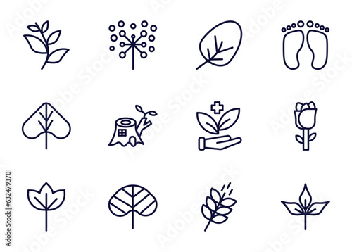 set of nature thin line icons. nature outline icons such as willow leaf, pollen, apricot leaf leaf, _icon19_, linden sassafras reniform, grains vector.
