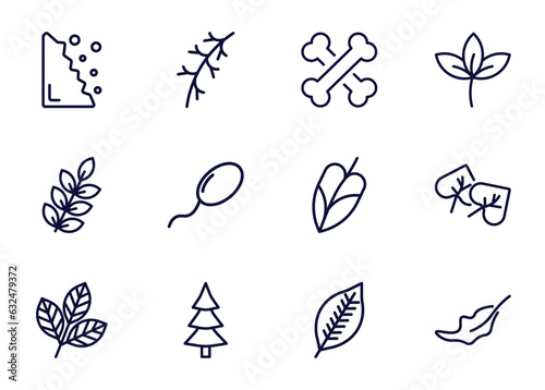 set of nature thin line icons. nature outline icons such as falling debris, larch leaf, death, _icon19_, american mountain ash, rowan leaf, spruce, lemon leaf vector.