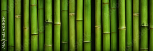 Vertical green bamboo background texture