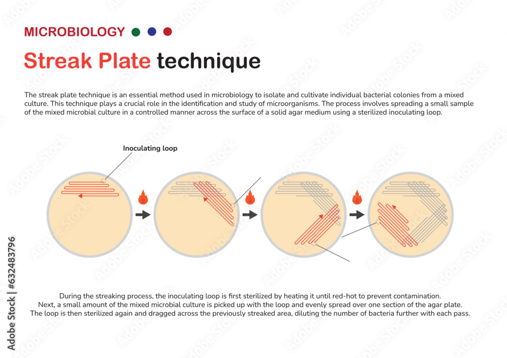 Microbiology diagram show fundamental streak plate technique for purify