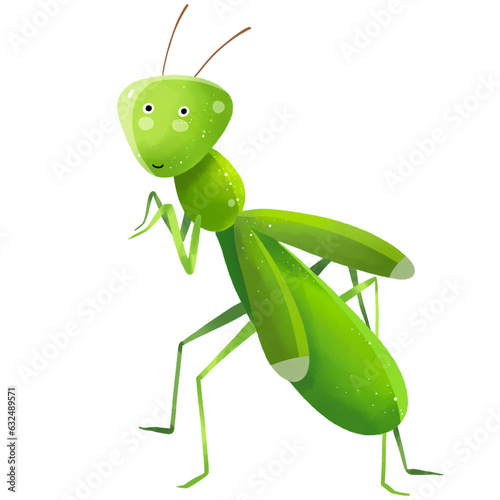 green praying mantis