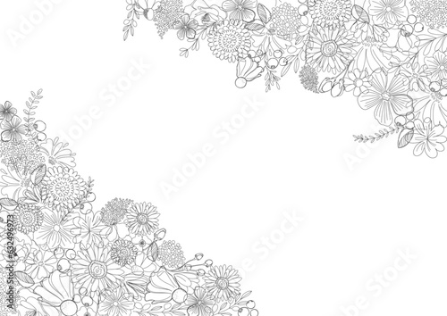 美しい線画のボタニカル背景素材