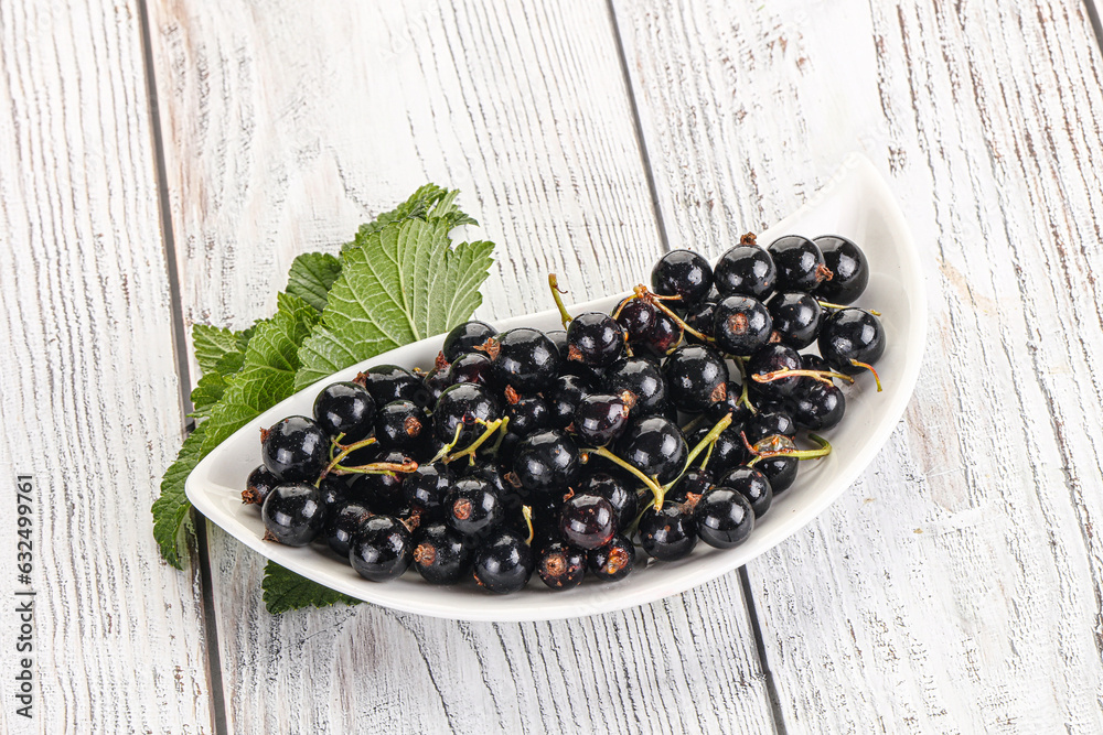 Juicy black currant berries in the bowl Juicy black currant berries in the bowl
