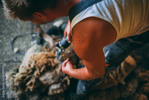 Sheepshearer Tales photo