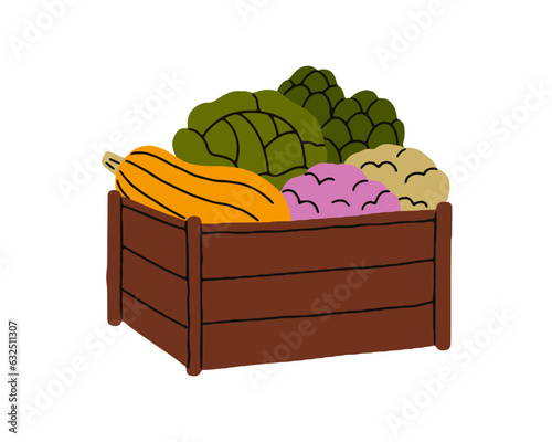 Wooden crate full of fresh farm vegetables. Organic harvest, healthy veggies ...
