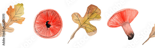 Border yellow leaves trees and mushrooms  foliage of natural branches  yellow leaves  herbs  mushrooms hand drawn watercolor on white background.