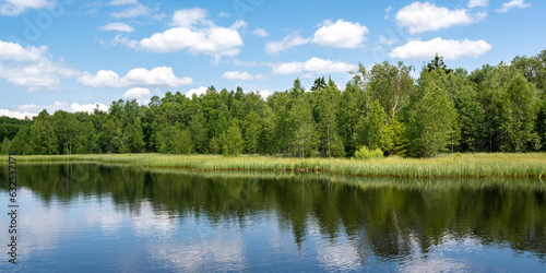 Lake in green nature with blue sky and white clouds