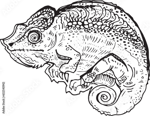 Vector chameleon line art doodle cartoon lizard sketch element for design print. Hand Drawn animal collection reptile isolated graphic illustration on white background. drawing pattern fine detail 