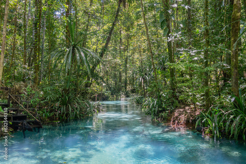 The Kali Biru or Blue River on Waigeo island  Raja Ampat  West papua  Indonesia