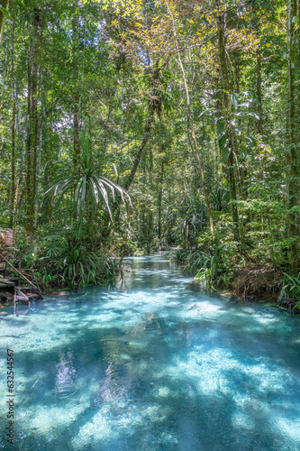 The Kali Biru or Blue River on Waigeo island, Raja Ampat, West papua, Indonesia © Arthur