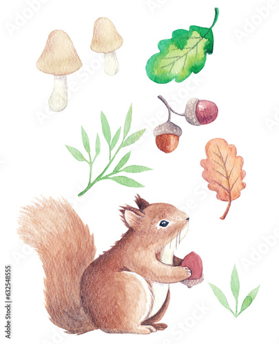 Autumn watercolor illustration with squirrels, leaves
