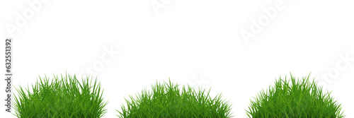 Green grass tuft set isolated on white background. Vector