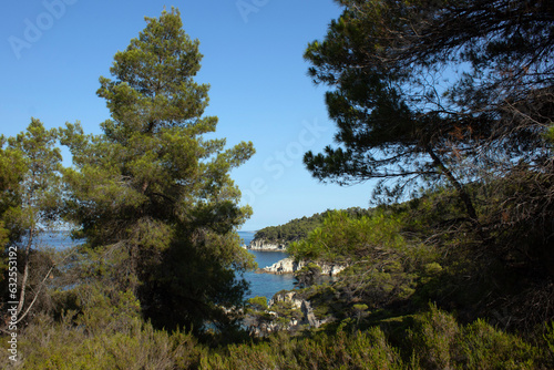 Panorama of a beautiful forest and turquoise wather and blue sky. Holiday summer beach background.