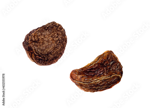 Watercolor illustration of cola nuts isolated on white background.