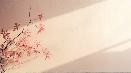 Nature inspired graphics with shadow overlay on a textured wall background