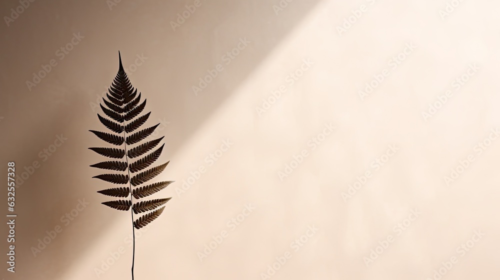 Fern leaf s shadow on a wall Natural backdrop space for text Fern leaf s shadow on a wall Natural backdrop space for text