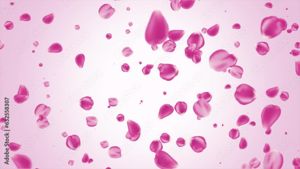 Pink Rose Petals Flying. Rose Petals Falling. Seamless Loop Pink Rose Petals Flying. Rose Petals Falling. Seamless Loop
