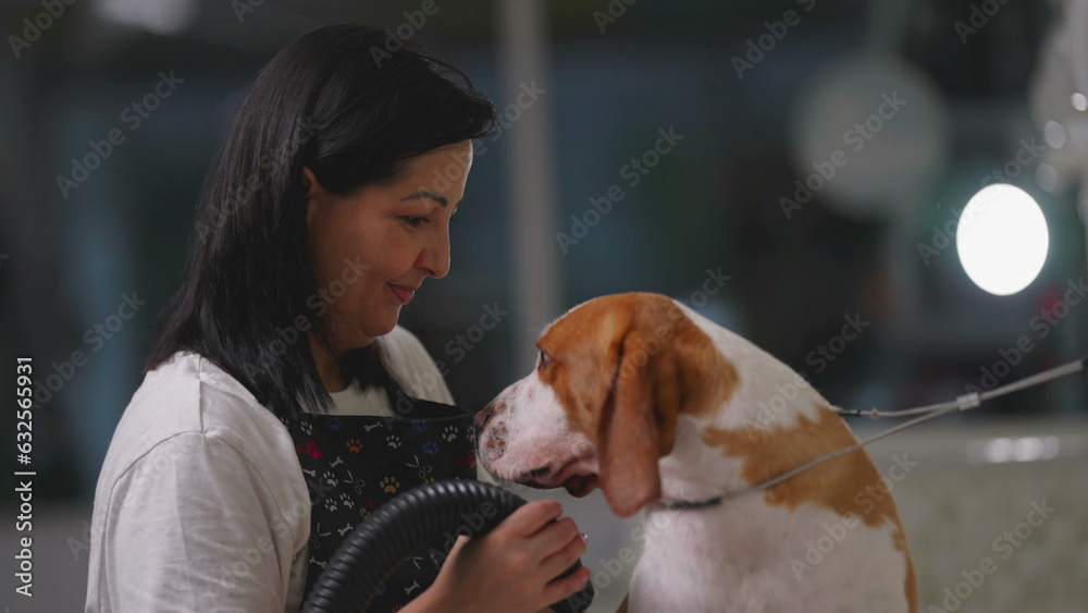 Candid female employee at local Pet Shop in Brazil drying Dog Beagle Canine Companion with dryer
