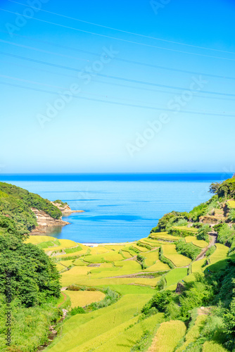 夏の浜野浦の棚田　佐賀県松浦郡　Hamanoura Rice Terraces in summer. Saga Pref, Matsuura-gun. photo