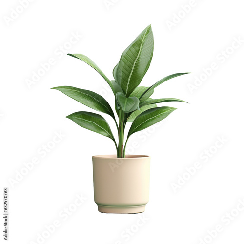 Green flowerpot with leaves on a transparent background