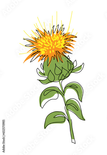 Canvas-taulu Safflower flower vector illustration