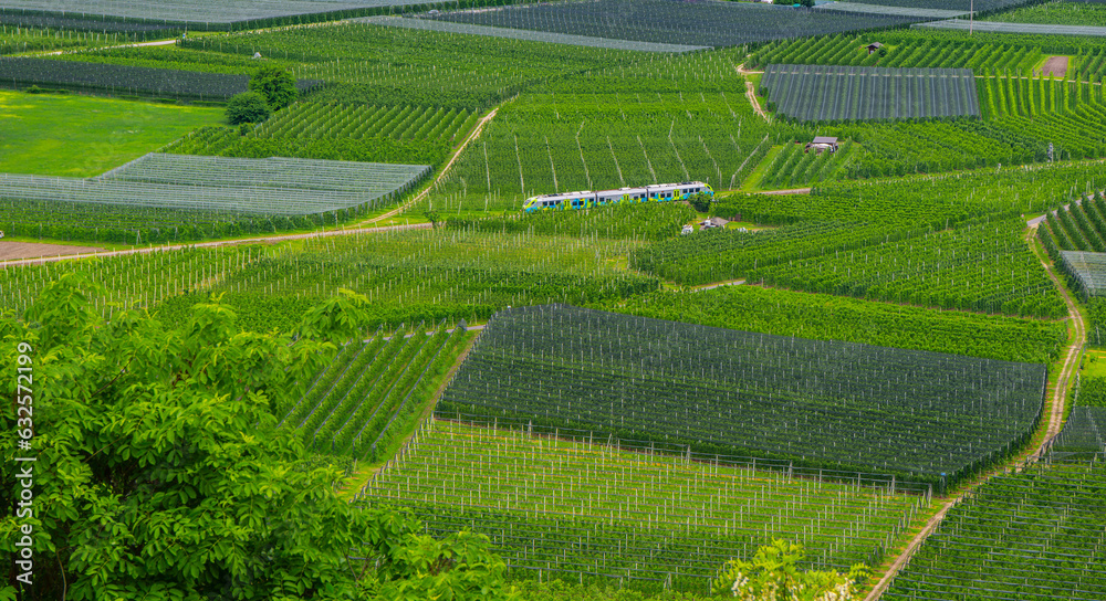 Fields with fruit and wine around Lake Caldonazzo in Italy