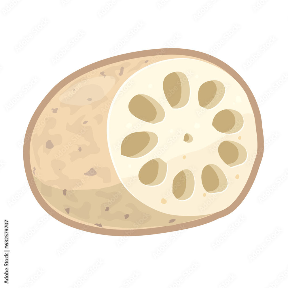 Fototapeta premium レンコンのイラスト