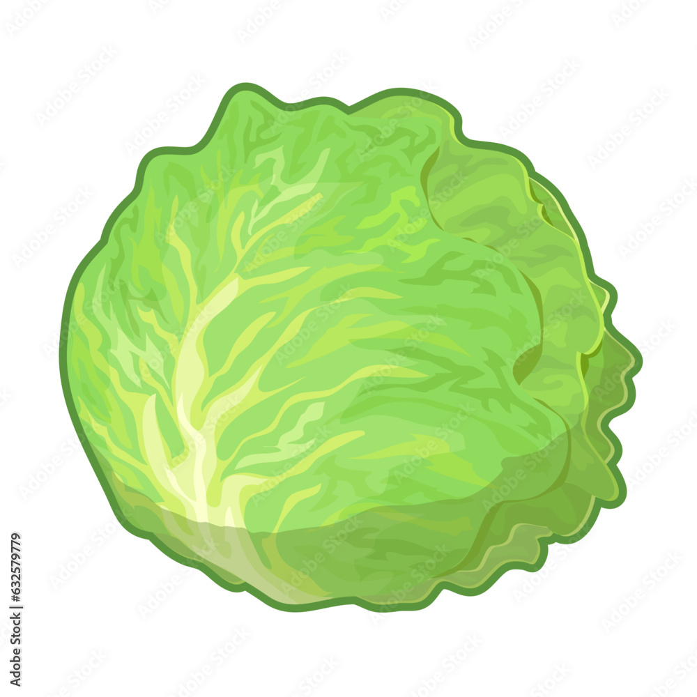 レタスのイラスト レタスのイラスト