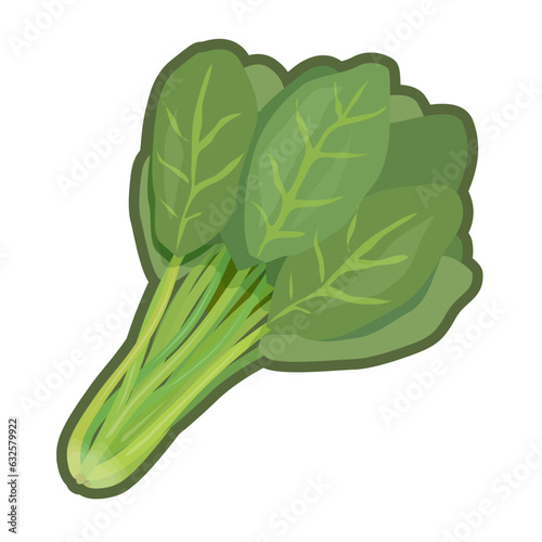 ほうれん草のイラスト