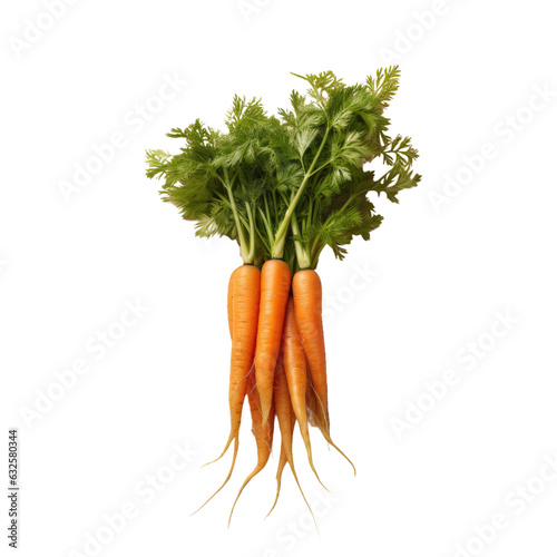 Carrots with natural color and organic on isolated background