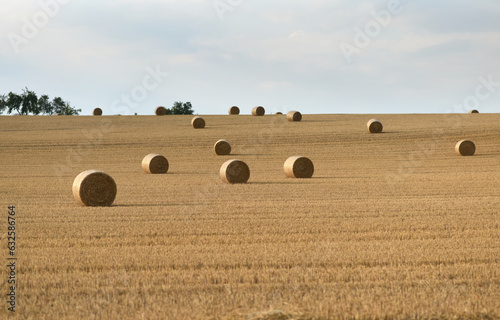 The field after harvest with straw bales.