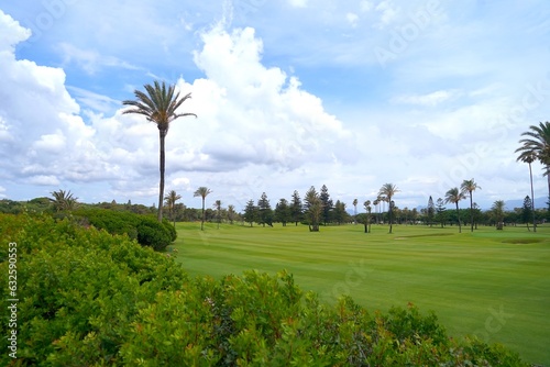 Real Club de Golf Sotogrande, golf course with high palm trees in Sotogrande, Mediterranean Sea, Cádiz, Andalusia, Malaga, Spain photo