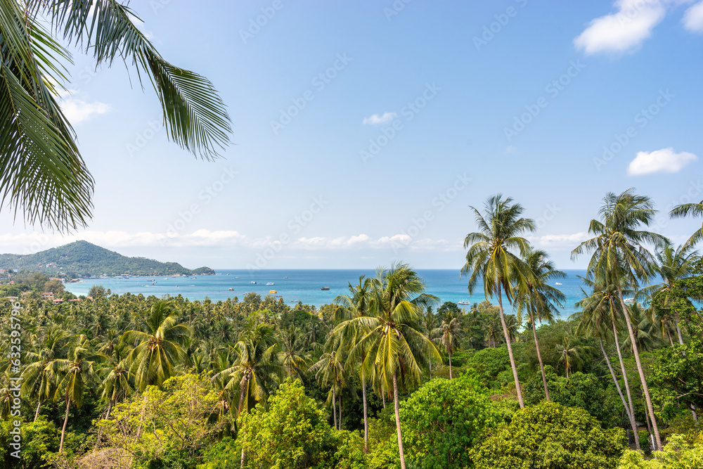 Tropical picturesque landscape panorama with palms, blue sky and view on sea horizon of paradise Koh Tao island in Thailand