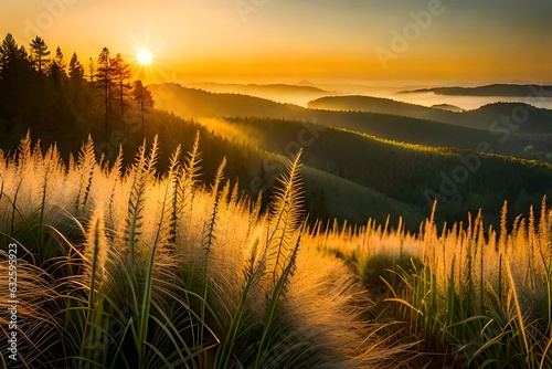 Wild grass in the forest at sunset. Macro image, shallow depth of field. Abstract summer nature background © Pretty Panda