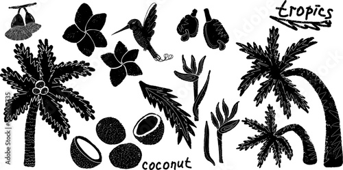 Tropics. Exotic, vector grainy set of textural black elements for design, grunge jagged graphic patterns. Palm tree, nuts , flowers