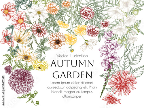 Vector frame autumn garden. Dahlia, cosmos, zinnia, marigold, calendula, rudbeckia, gladiolus, datura in engraving style