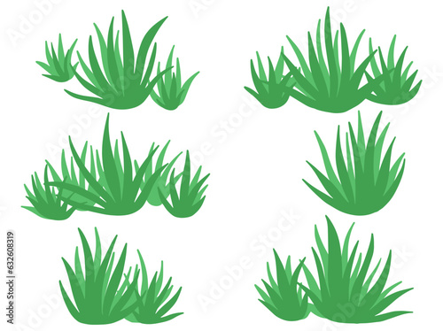 Shrub Bush Illustration
