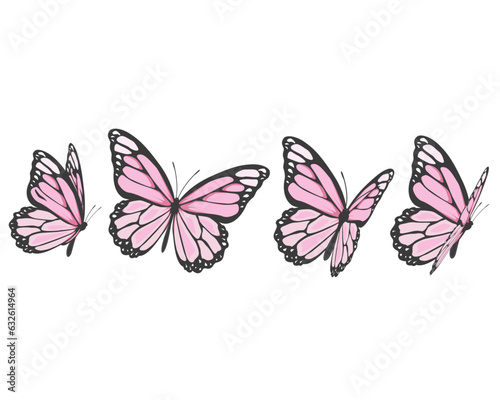 butterfly on white background
