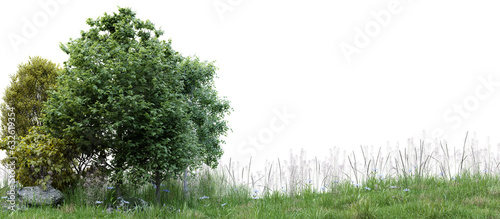 Group of tree isolated on transparent background 3d rendering png