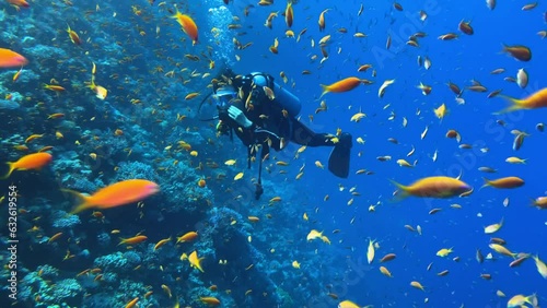 Young woman diver swimming through the school of fishes in red sea in Egypt