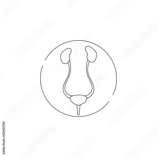 urinary sistem vector type icon