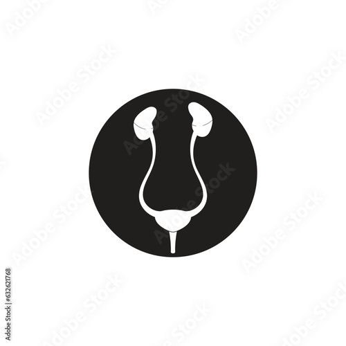urinary sistem vector type icon
