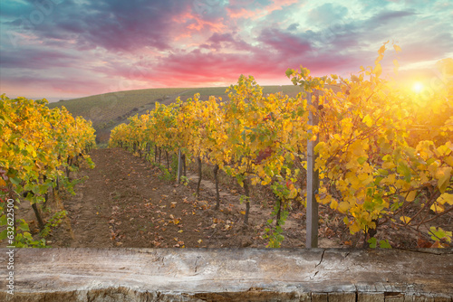 Barrel Wineglasses Cheese And Bottle In Vineyard At Sunset . High quality photo