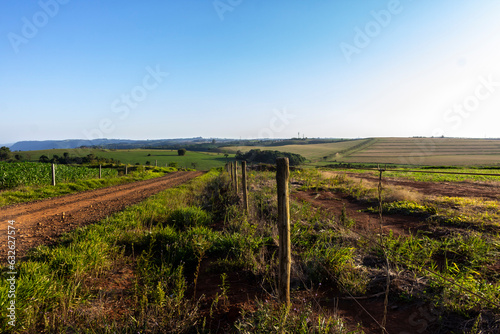 dirt road on rural properties alongside and plantations