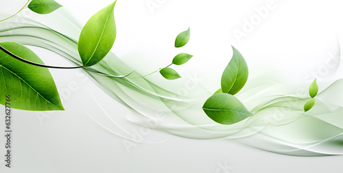 Green leaves on white background as botanical frame flatlay, eco design and spring nature flat lay concept